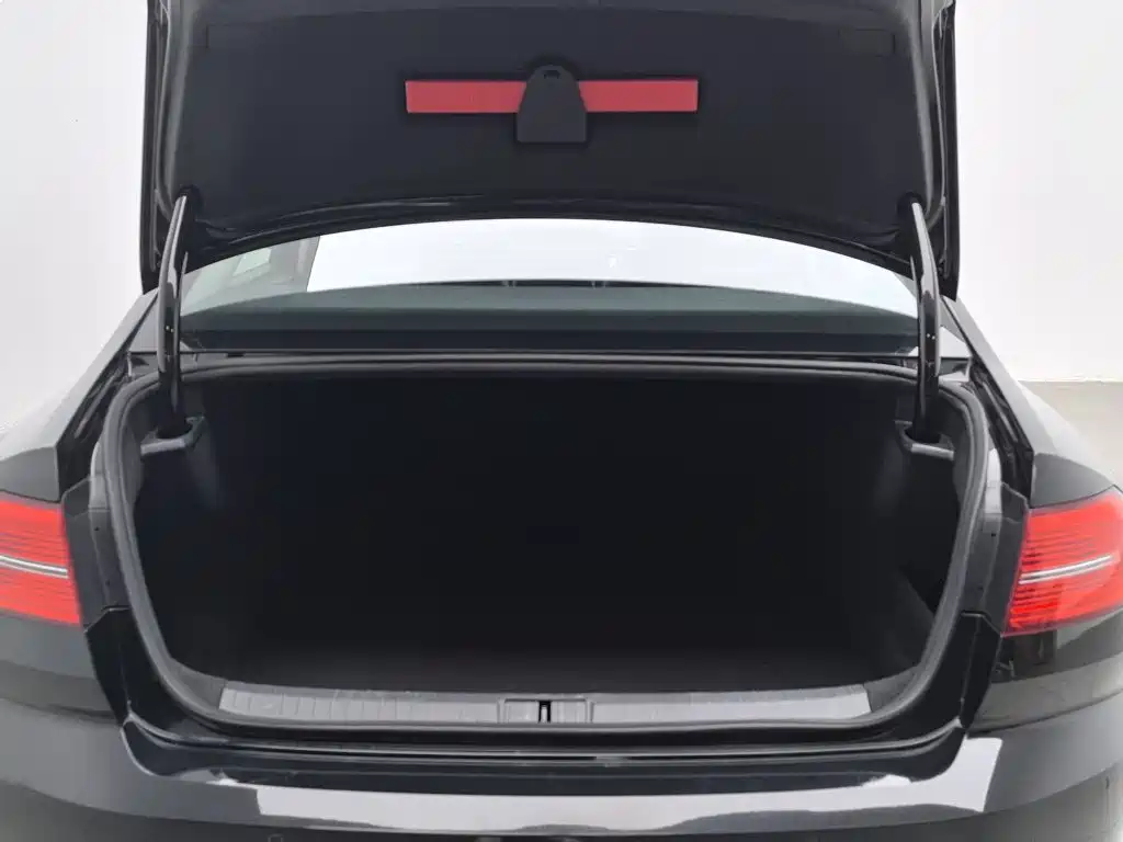 Volkswagen Magotan — миниатюра 16