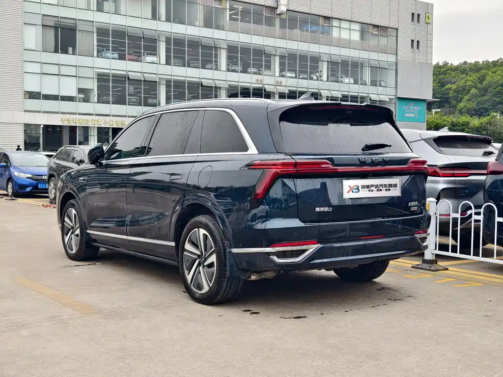 WEI PAI WEI BRAND BLUE MOUNTAIN