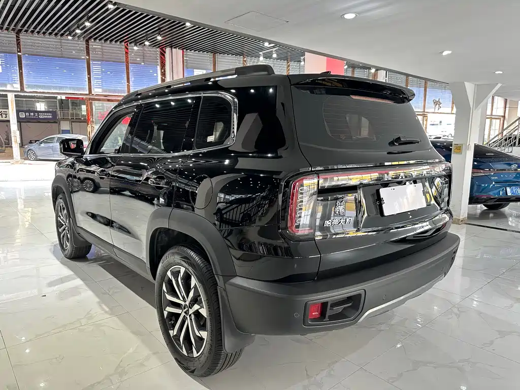 HAVAL BIG DOG