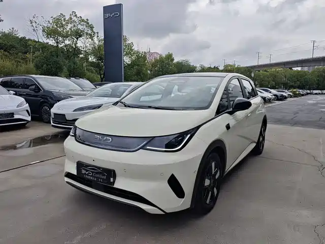 2025 BYD Dolphin