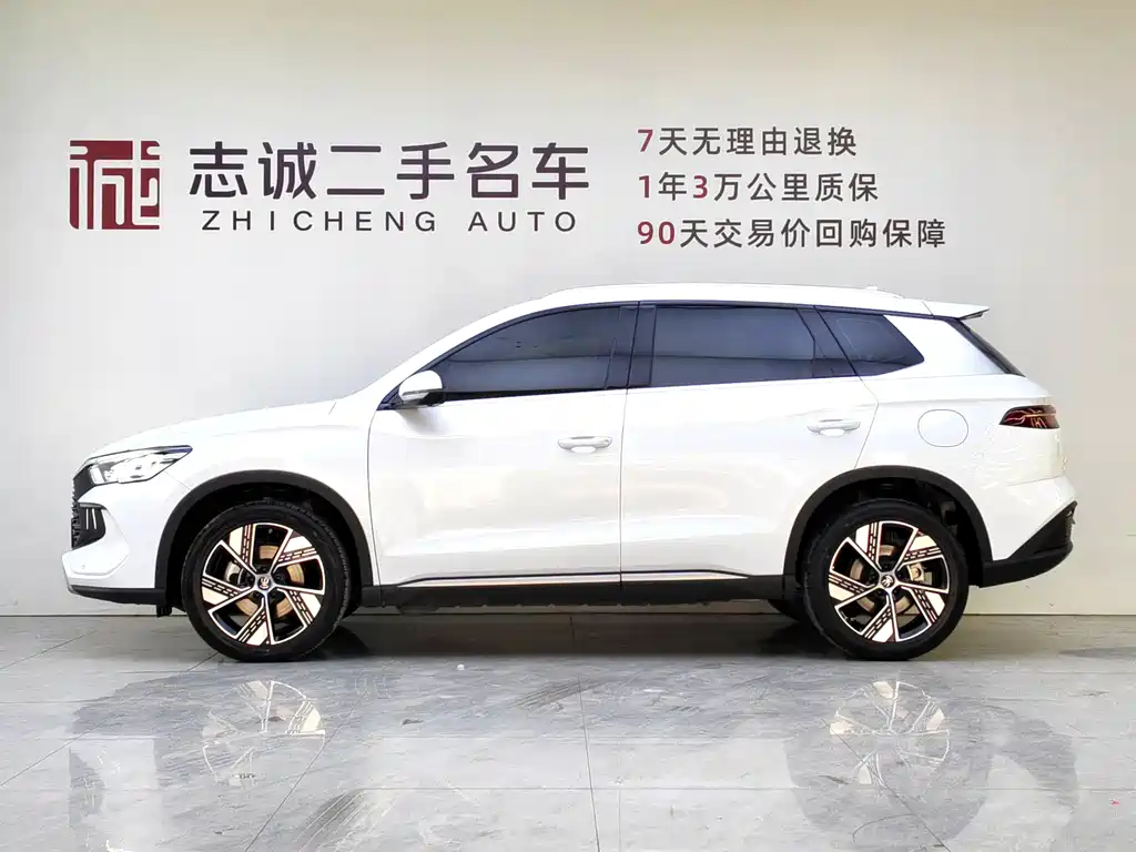 BYD SONGJIANG NEW ENERGY