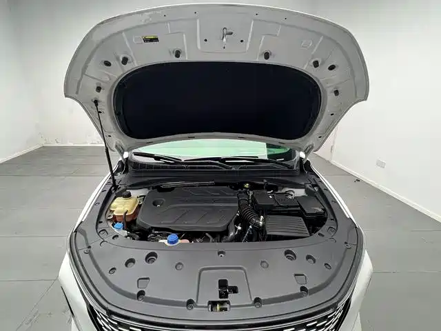 Changan Ruicheng PLUS — миниатюра 15