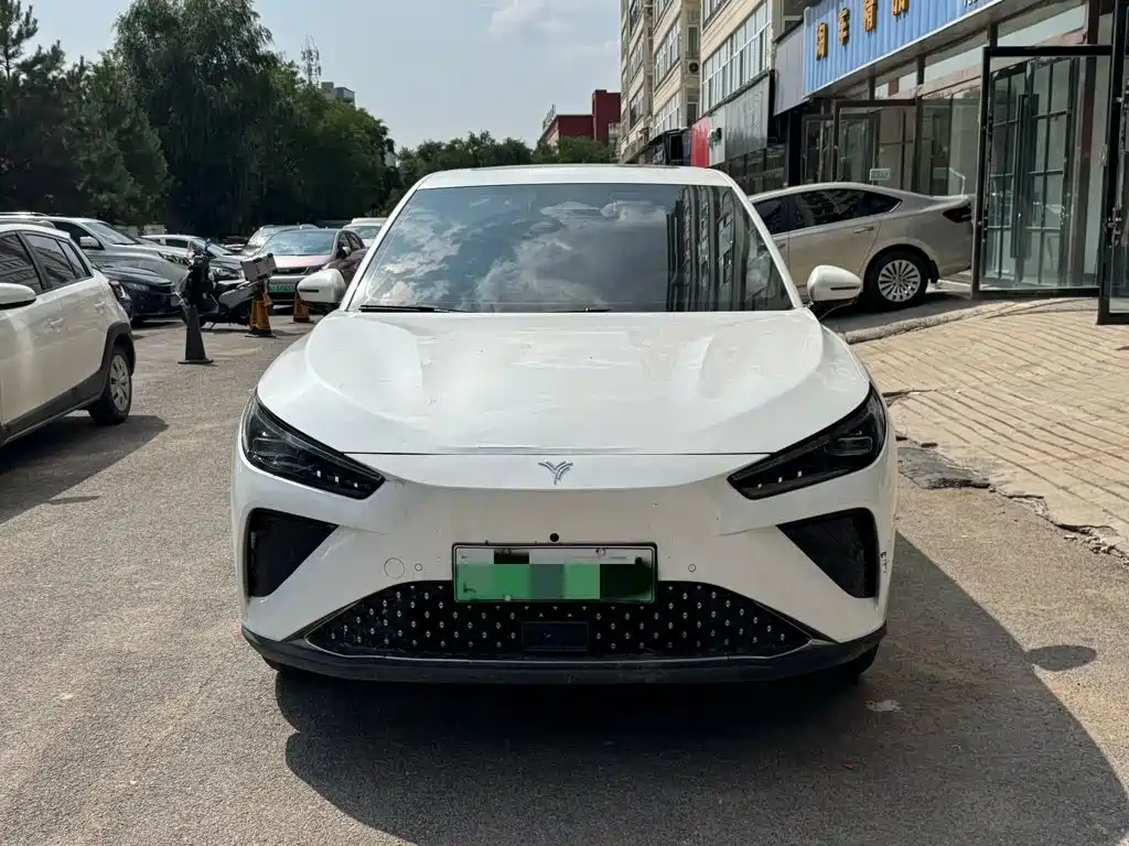 Neta Neta L — миниатюра 2