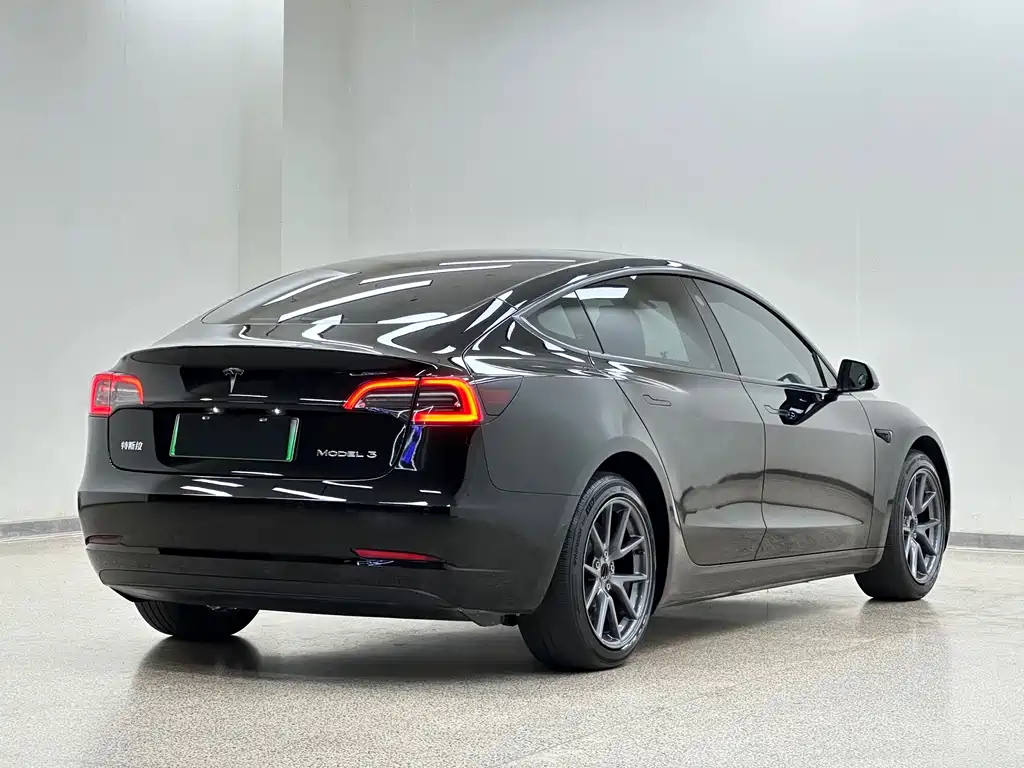 Tesla Model 3 — миниатюра 6