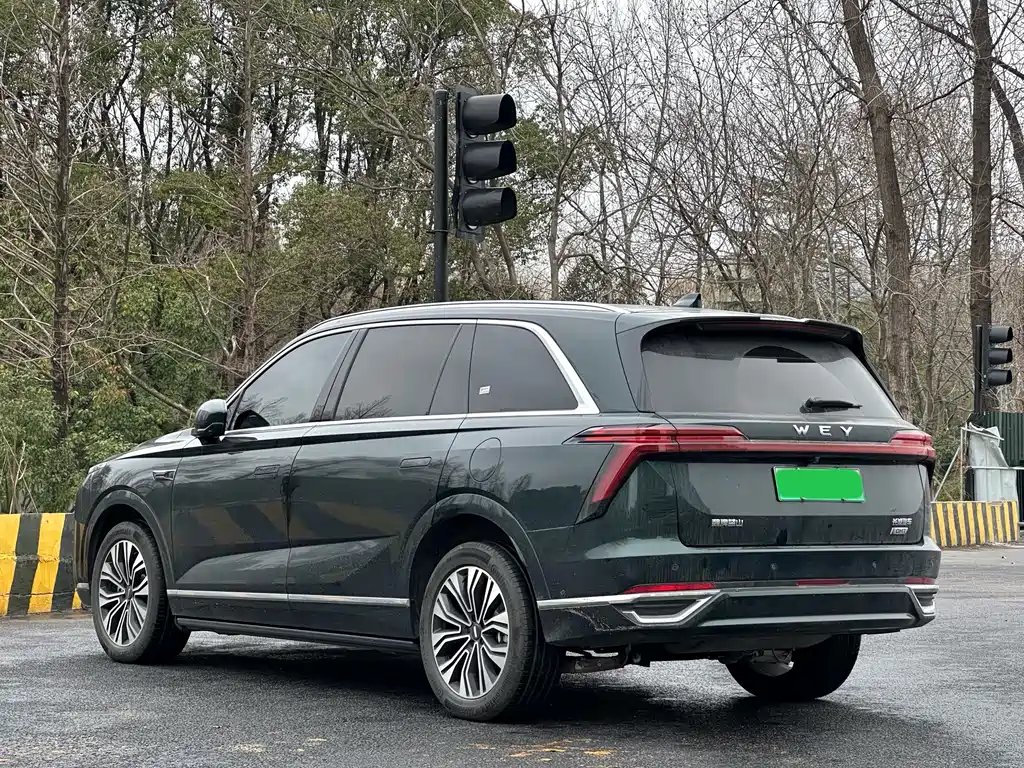 WEI PAI WEI BRAND BLUE MOUNTAIN