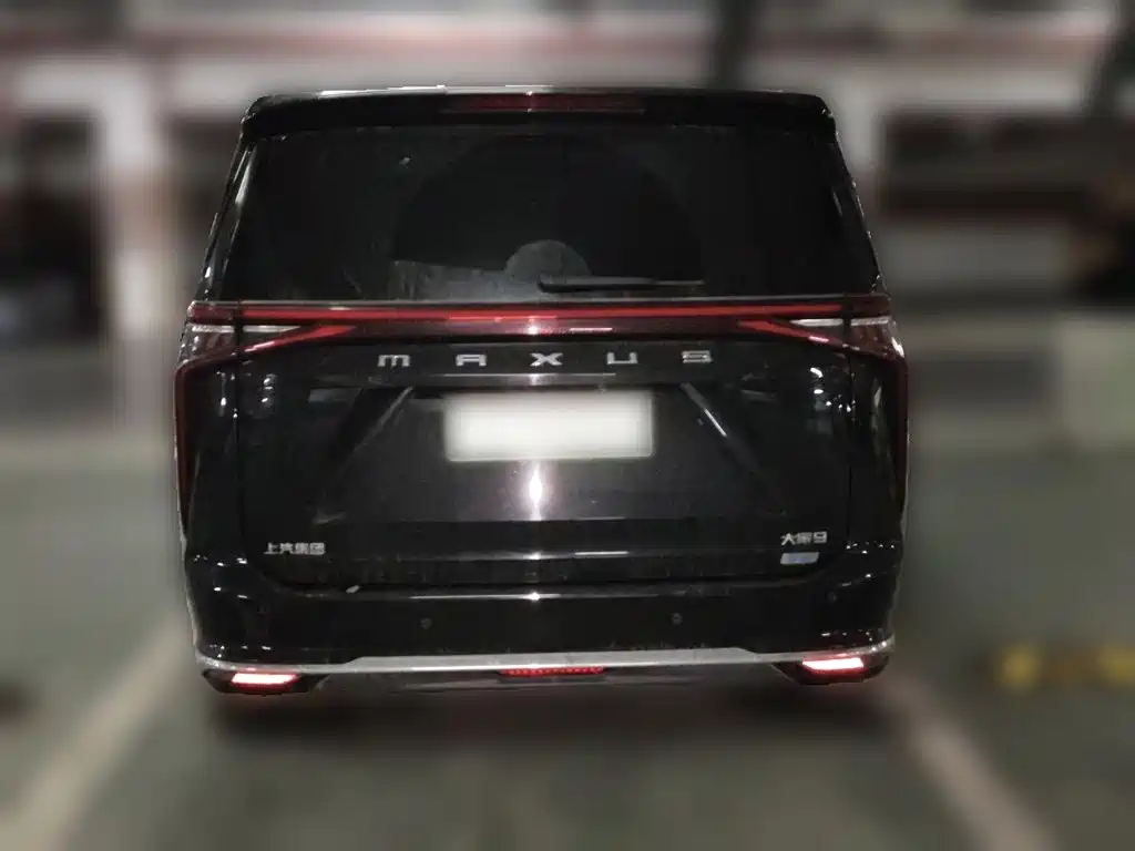 Maxus Dajia 9 — миниатюра 3