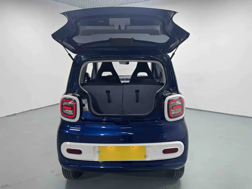 BESTUNE PENTIUM PONY