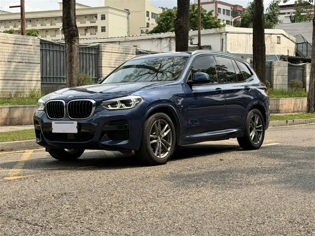 BMW X3 2018 xDrive25i M Sport VI
