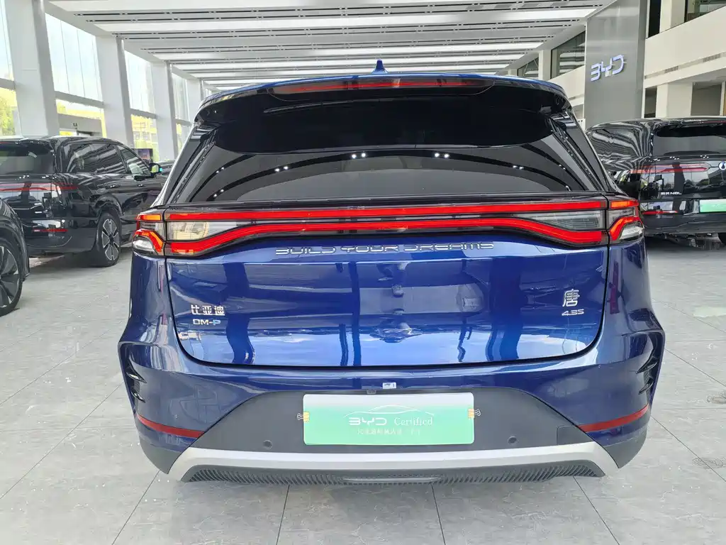 BYD Tang New Energy — миниатюра 11