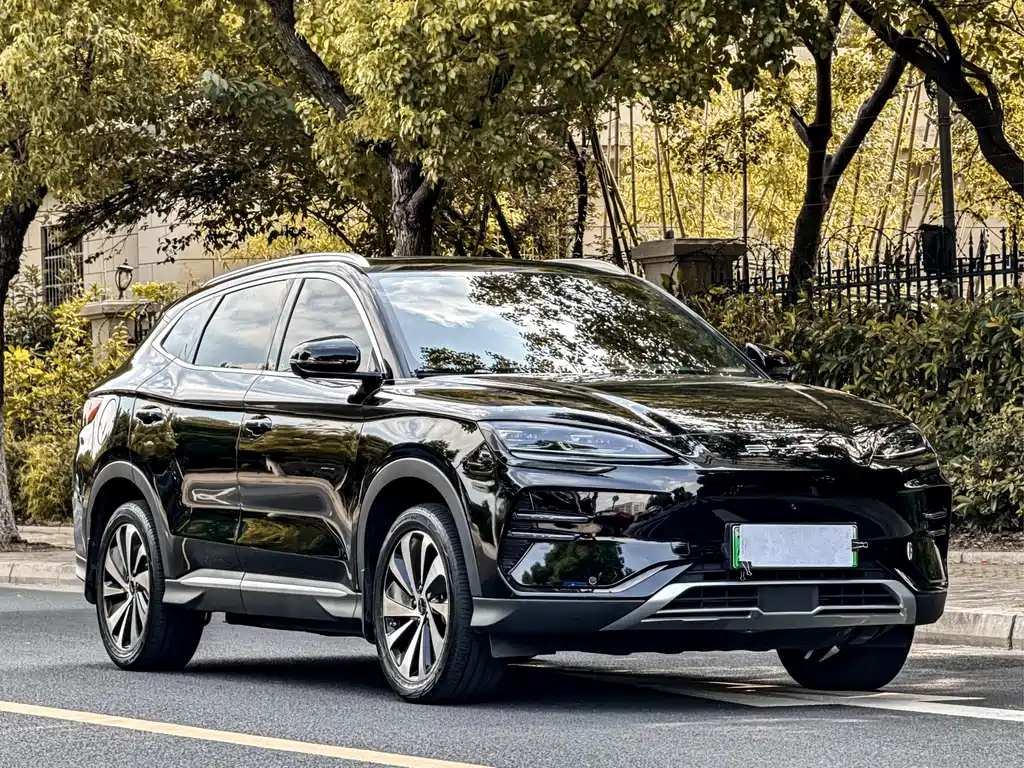 BYD PLUS New Energy — миниатюра 6