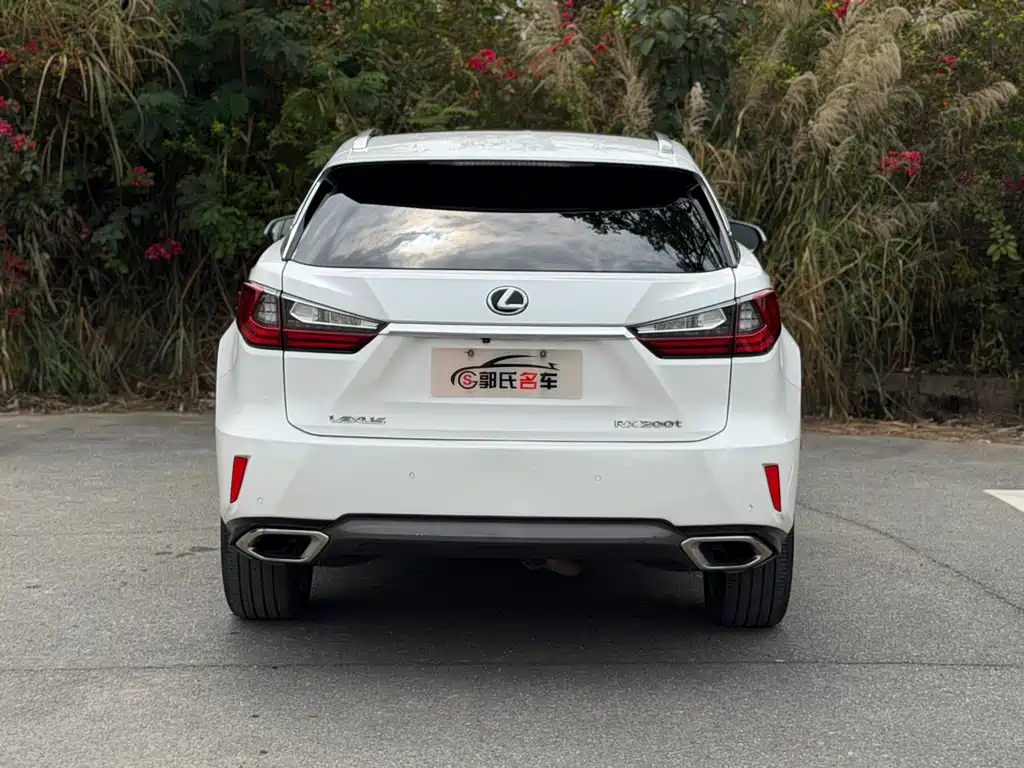 LEXUS RX