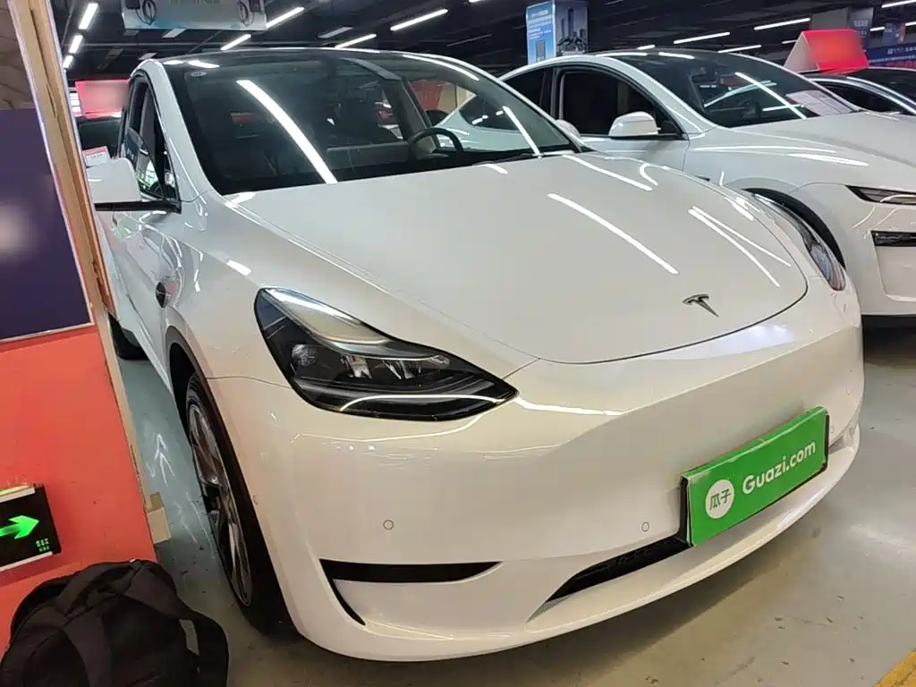 Tesla Model Y — миниатюра 4