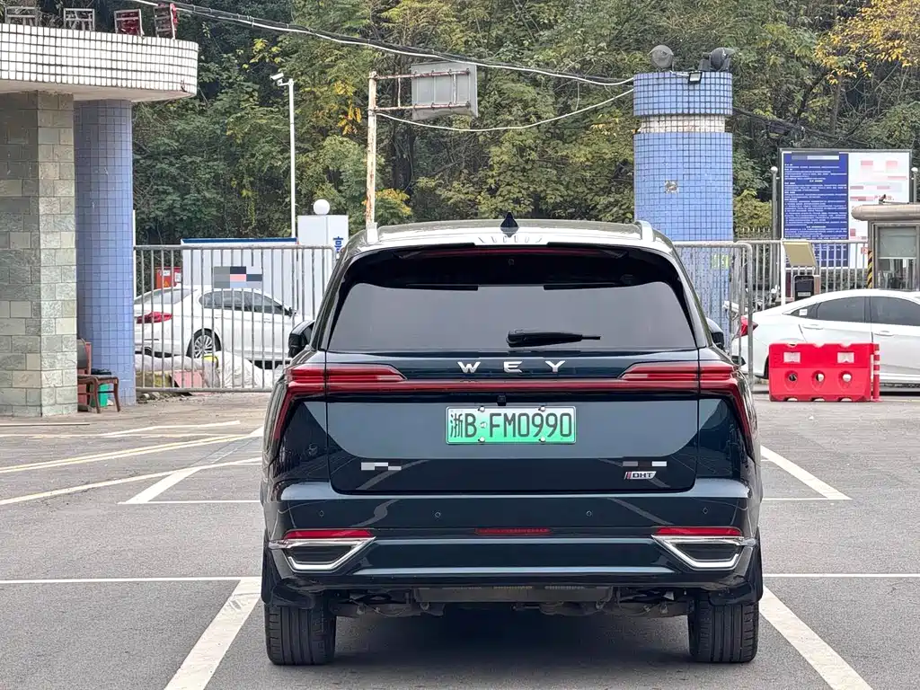 WEI PAI WEI BRAND BLUE MOUNTAIN