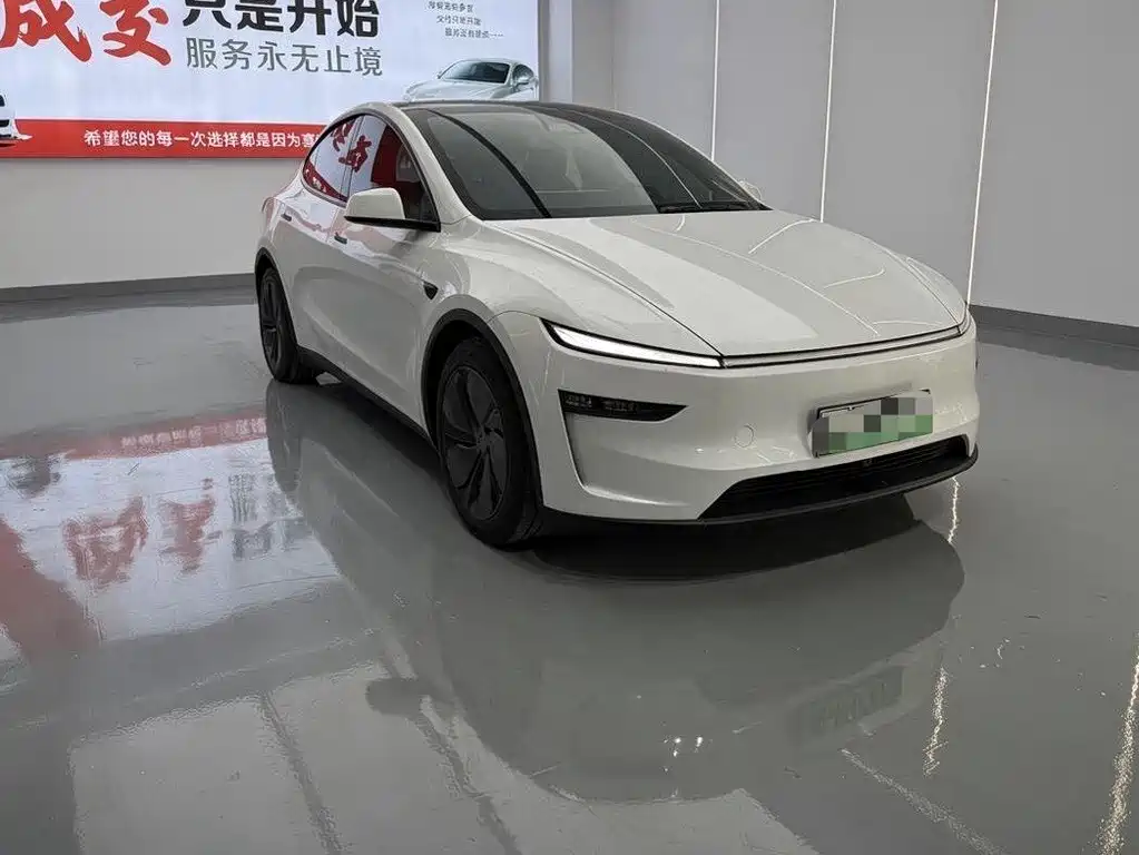 Tesla Model Y — миниатюра 2
