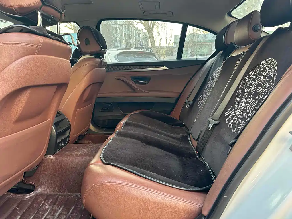 BMW 5 Series 520Li Elegant Type, фото 9