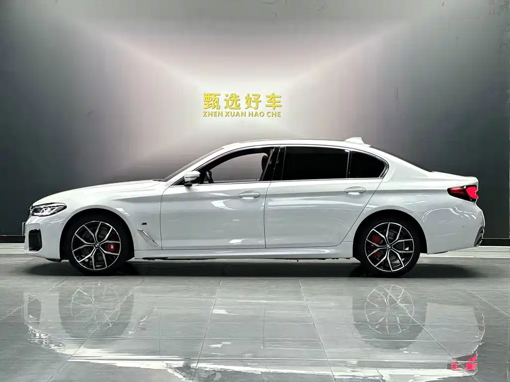 BMW 5 Series — миниатюра 3