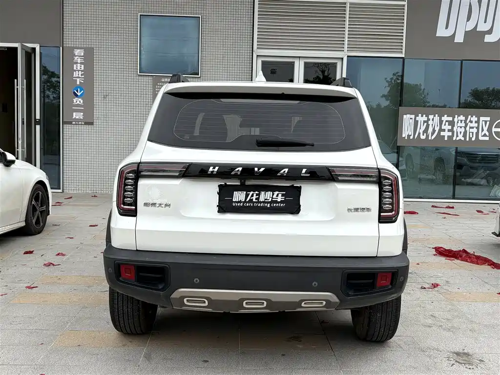 HAVAL BIG DOG