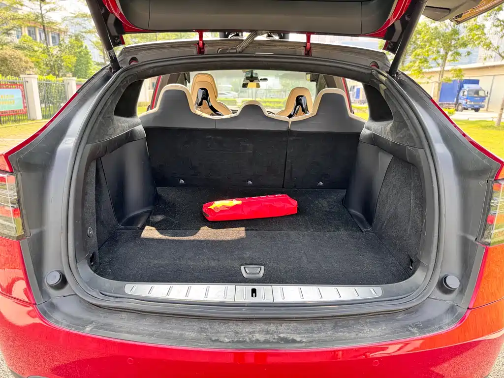 Tesla Model X — миниатюра 27