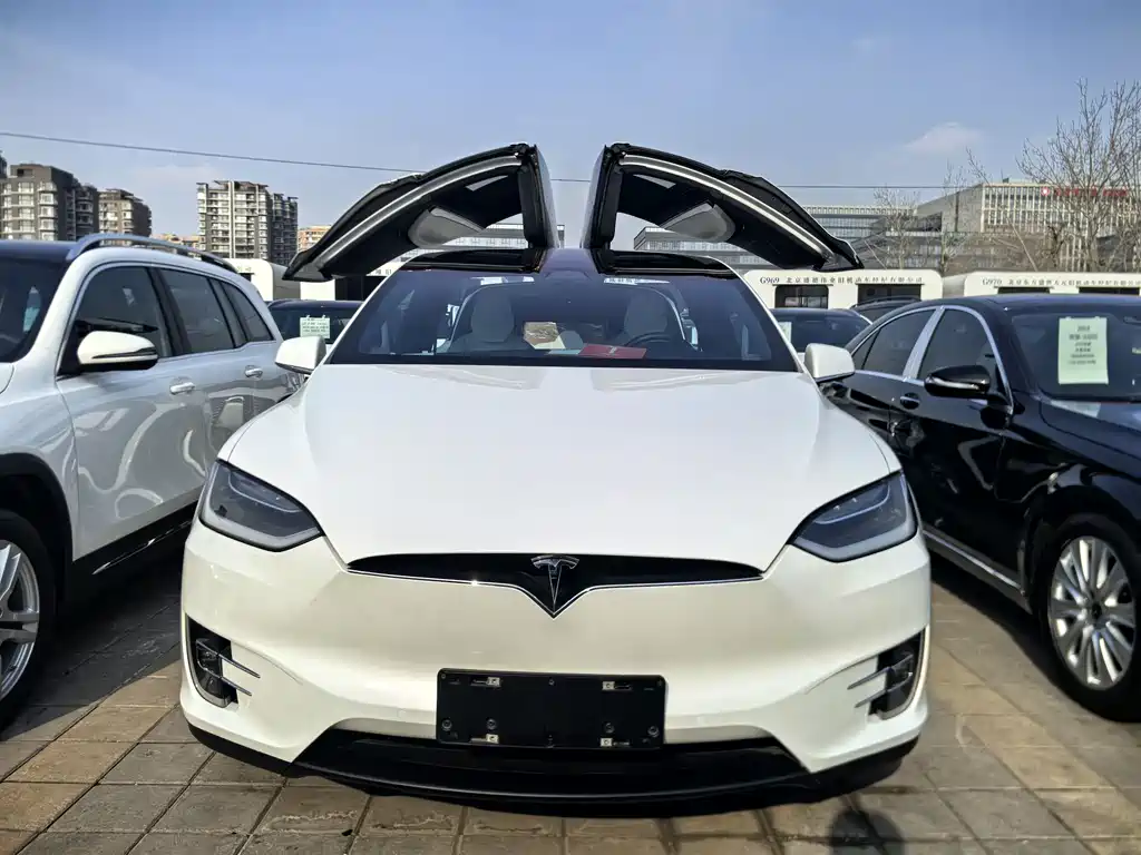 TESLA MODEL X
