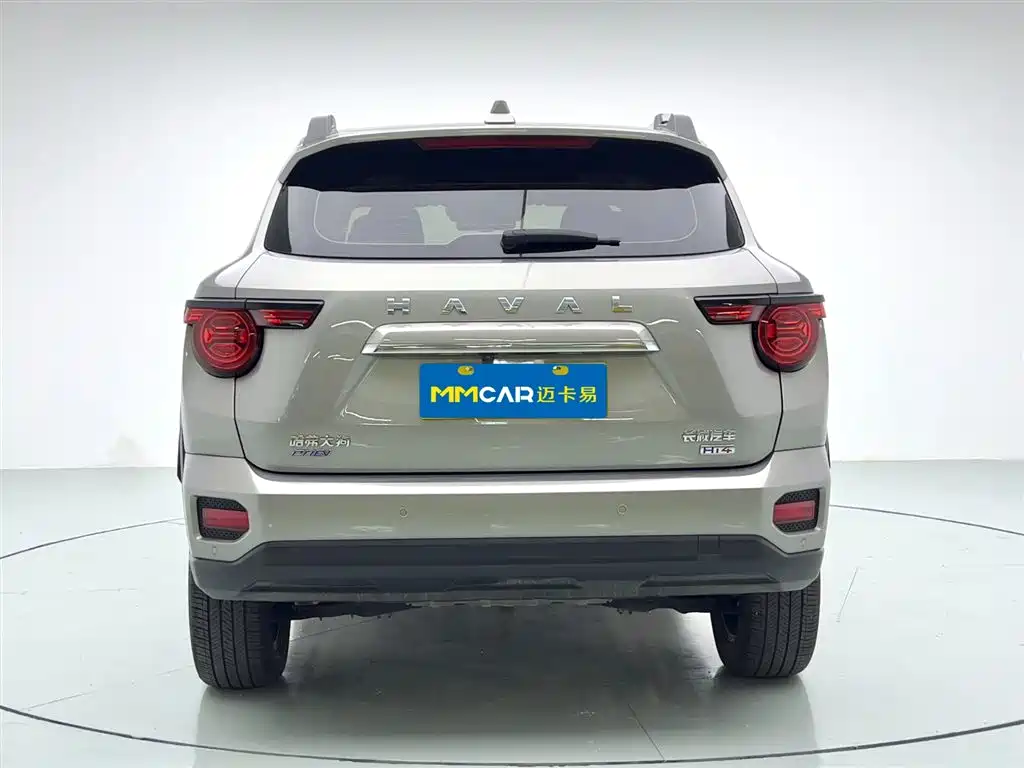 HAVAL SECOND GENERATION BIG DOG NEW ENERGY