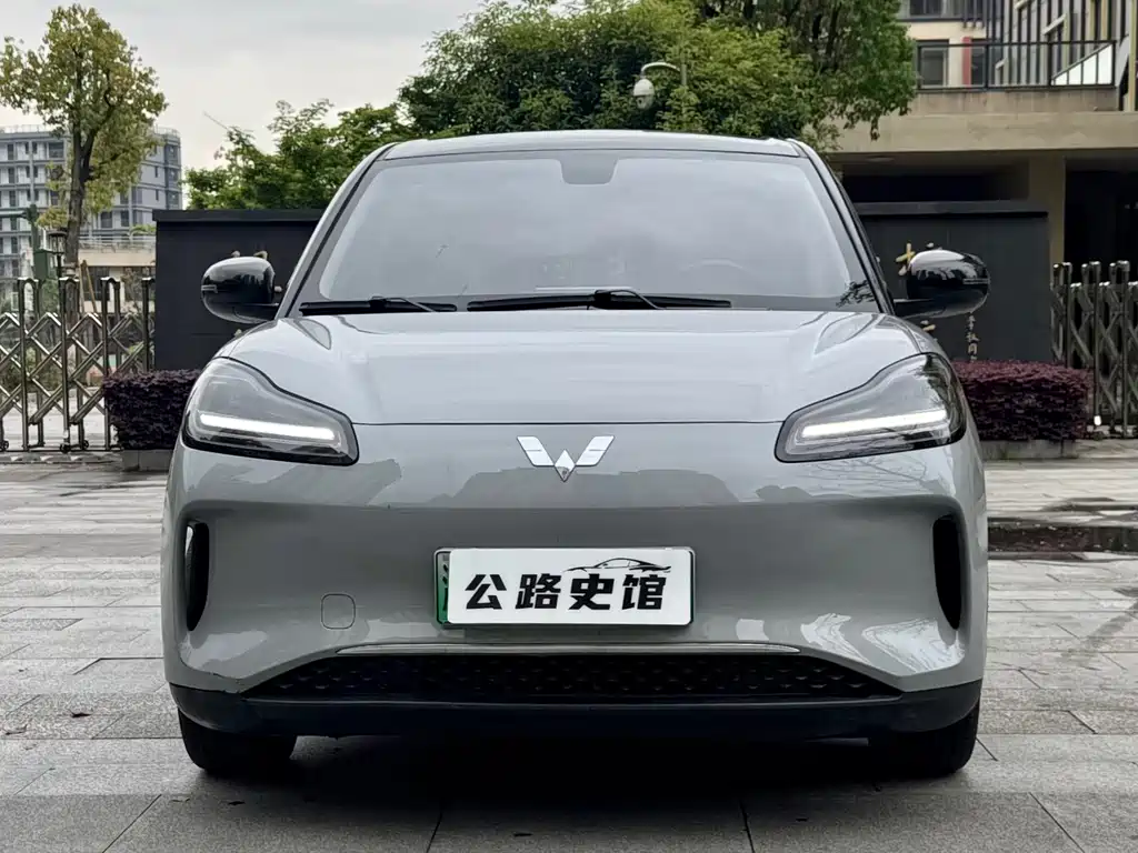 Wuling BinguoPLUS PLUS 2024 330km мест