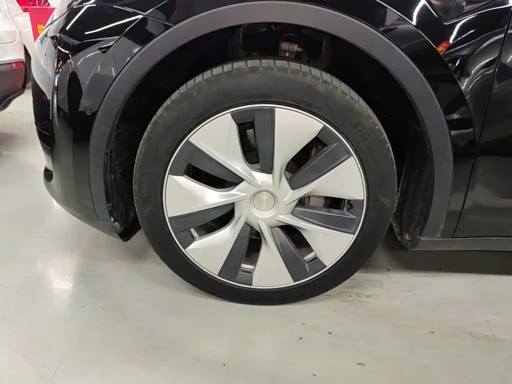 Tesla Model Y — миниатюра 23