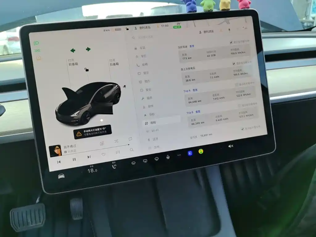 Tesla Model 3 — миниатюра 12