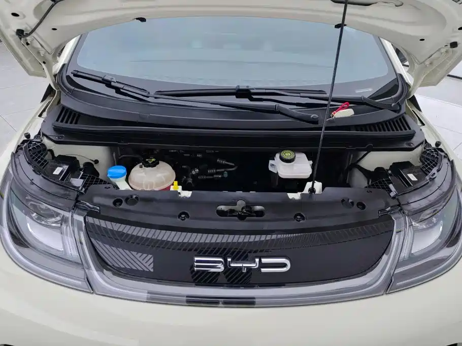 BYD Dolphin — миниатюра 10