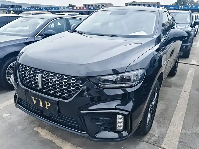 WEI PAI WEI BRAND VV5