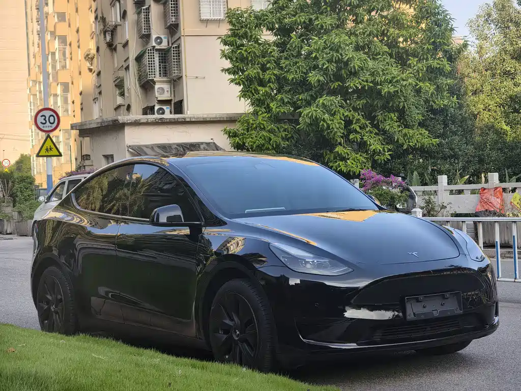 Tesla Model Y — миниатюра 3