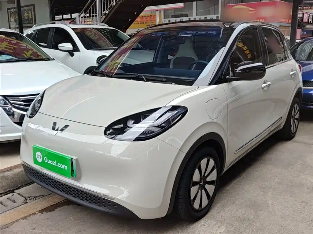 Wuling Bingo 2024