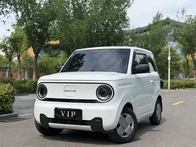 2025 Geely LC (Panda)