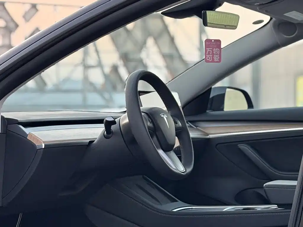 Tesla Model 3 — миниатюра 4