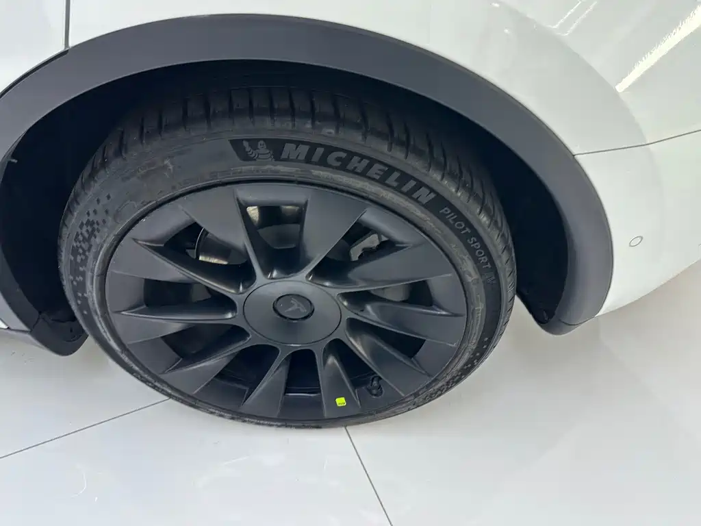Tesla Model Y — миниатюра 21