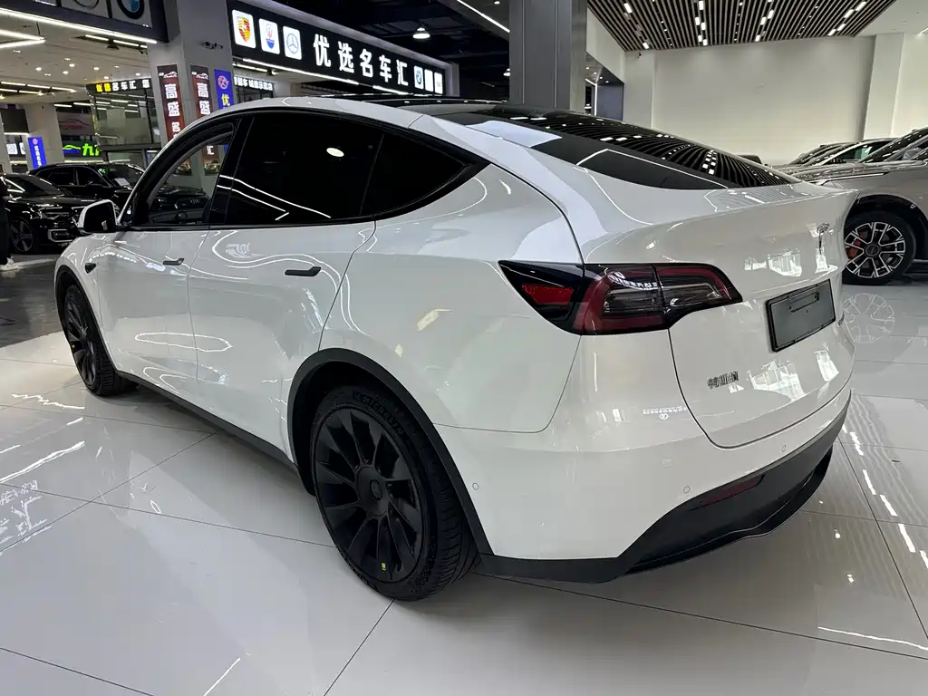 Tesla Model Y — миниатюра 20
