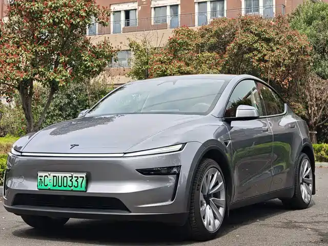 TESLA MODEL Y 2025