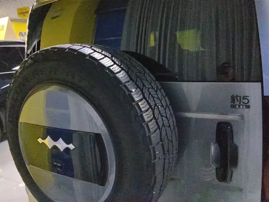 FANG CHENG BAO LEOPARD 5