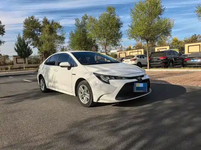 TOYOTA LEI LING 2022