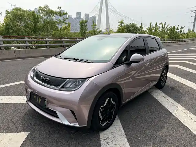 2023 BYD Dolphin