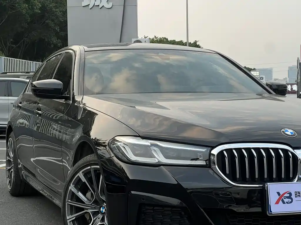 BMW 5 Series — миниатюра 3