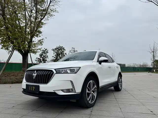 BORGWARD BAOWO BX6 2019