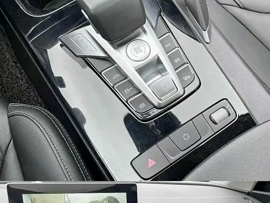 BYD Song Pro Pro 2019 1.5T AT Luxury
