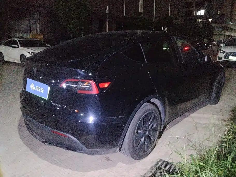 Tesla Model Y — миниатюра 3
