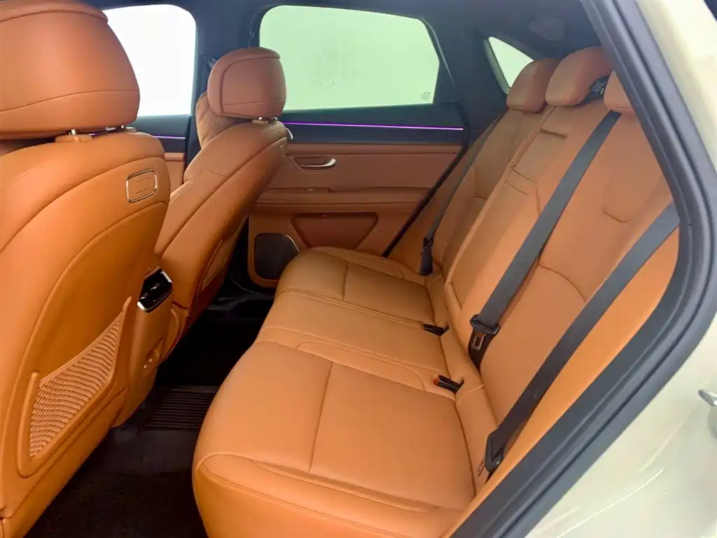 AITO ASK THE WORLD M5