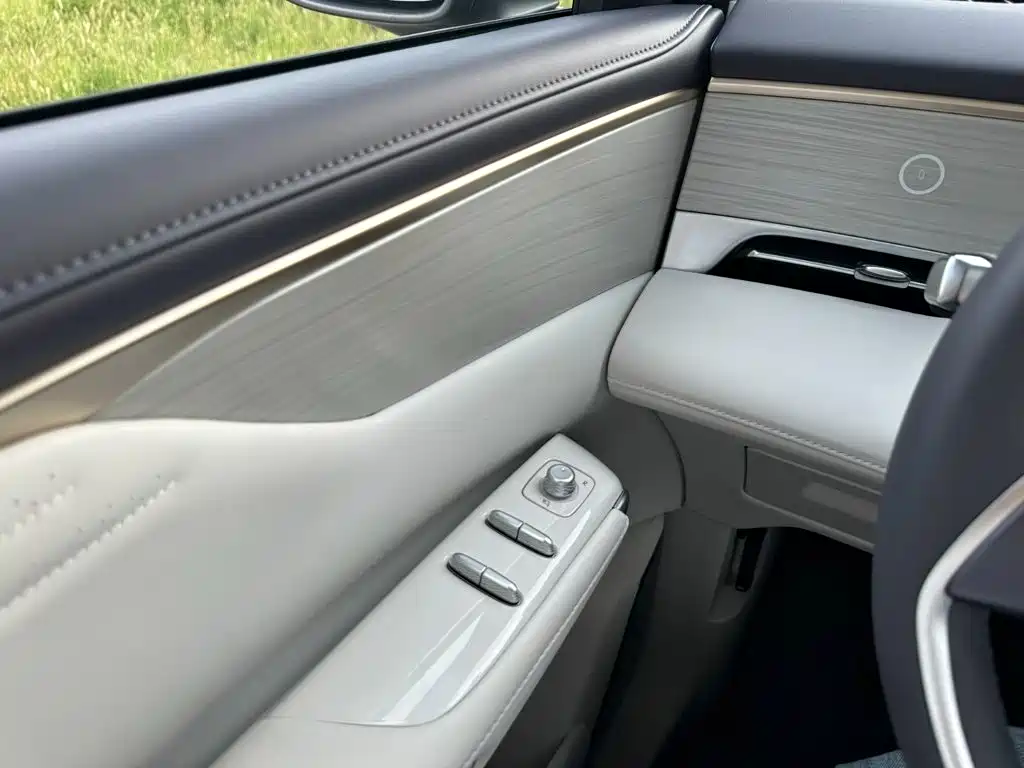 Buick Не похоже, что ты семья. — миниатюра 22