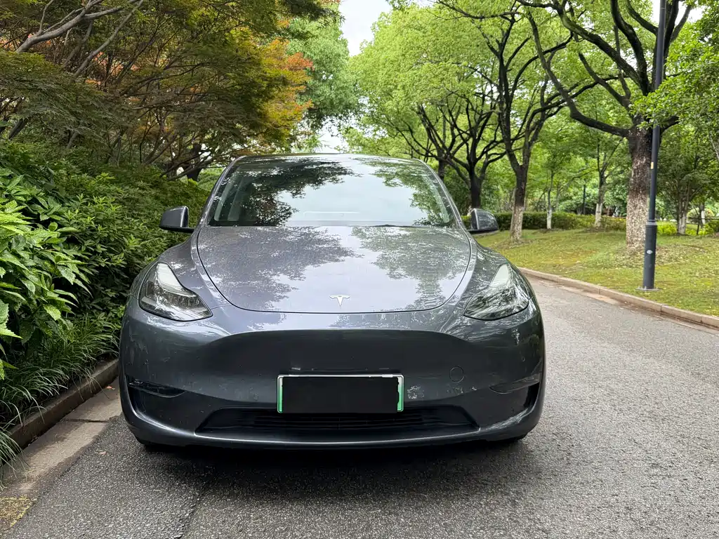 Tesla Model Y 2021 3D7