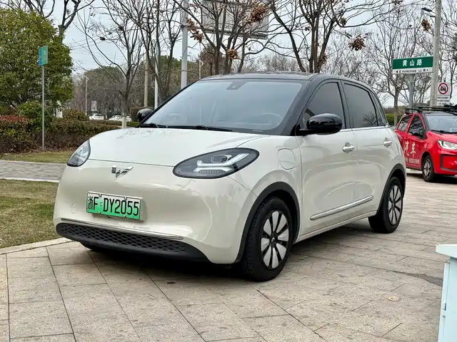 WULING WULING BINGGUO 2023