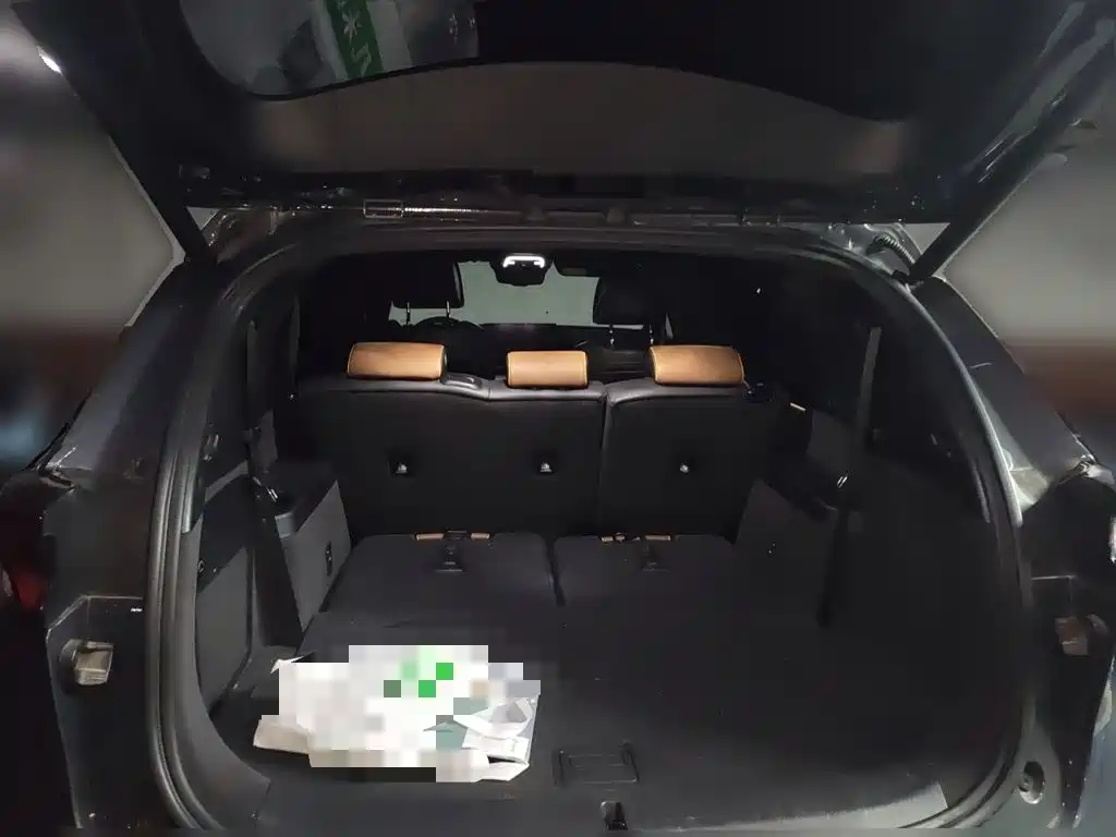 BYD Tang New Energy — миниатюра 15
