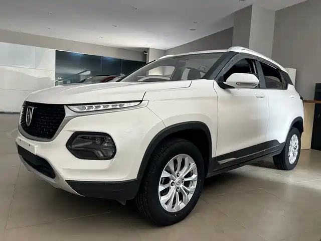 BAOJUN 510