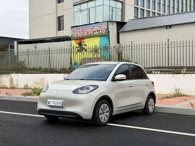 Wuling Bingo